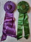 american Buckskin Registry Association  Horse Show Ribbons Awards Equestrian