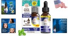 Holistic Oral Care With Concentrated Mint Mouthwash   100  Natural Ingredients