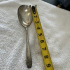 1847  Rogers Bros  Serving Spoon 9 Inch Daffodil Is 1950 International