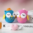 Crochet Diy Kit For Beginners Owl Crochet Gift Complete Set With All Materials