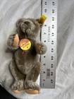 Original Steiff Mohair Teddy Bear Jointed 8 In Vintage