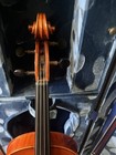 Viola 16 Inch