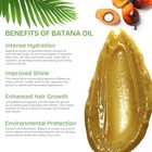 Raw Batana Oil For Hair Growth And Repair  100  Pure Dr  Sebi Unrefined Batana O