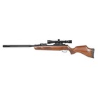Gamo Swarm Bone Collector 10x Gen3 Inertia Fed  22 Cal 10-shot Air Rifle W Scope