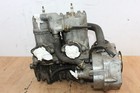 1980 Arctic Cat El Tigre 6000 Motor   500cc