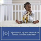 Sealy Quilted Fitted Crib Mattress Pad With Organic Cotton Top