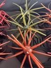 Urchin   Hideup Coike Vertical Storage Inserts Fits Plano 3700 Deep Box