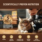 Grain Free Canned Cat Food Shredded Chicken Chicken Liver Sauce 12 Pack New