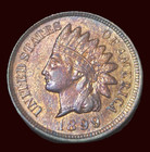 1899 Indian Head Cent - Uncirculated - Beautiful Toning - Free Shipping