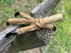 Eagle Claw Talons Plus Free Shipping
