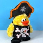 Dan Dee Animated Musical Chicken Dance Pirate 9  Plush Stuffed Animal Toy