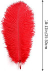 Red Ostrich Feathers 12pcs Natural Bulk 10-12inch 25cm-30cm For Crafts Wedding P