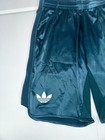 Adidas Tennis Pro Climacool Ergo Shorts Men s Aurora Ivy Satin Jn0782