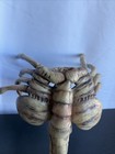 Lifesize Facehugger - Xenomorph Alien Face Hugger Poseable    
