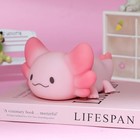  Axolotl Night Light  7 Colors Changing Cute Night Light For Axolotl-playing