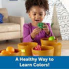Learning Resources Farmer s Market Color Sorting Set