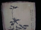 Very Fine Large Old Chinese Hand Painting Beautiful Flowers  yufeian  Marks
