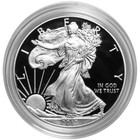 2013-w Proof  1 American Silver Eagle Box  Ogp   Coa
