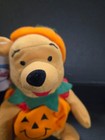 Disney Store Winnie The Pooh Pumpkin Pooh 7 5    Nwtbean Bag Plush Vintage