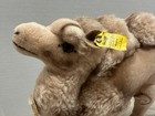 Vintage Steiff Cosy Kamel Camel 4890 28 Clean With All Tags