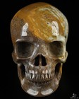 Huge 5 0  Ocean Jasper Carved Crystal Skull super Realistic  Crystal Healing