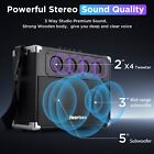 Portable Bluetooth Karaoke Machine With 2 Wireless Microphones