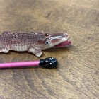 Vintage 30 s Celluloid Alligator Eating Man Pencil Holder Made In Occupied Japan