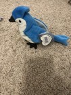 Ty Beanie Baby