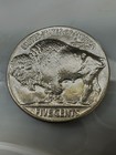 1937 Bu Buffalo Nickel With Full Mint Luster   upgrade That Spot In Your Set    