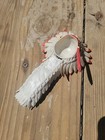 Chief Cherokee Accessories  Johnny West  Best Of The West Collection 