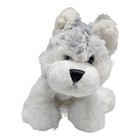 Ganz Webkinz Husky Puppy Dog Wolf Hm120 - No Code - Clean No Rips Or Stains