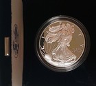 2001 W  U s  Mint American Eagle 99 9  Proof Silver Dollar 1 Ounce Coin With Coa