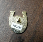 Lucky Horseshoe Dollar Good Luck Lapel Pin Badge 1 Inch