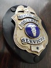 Healthcare Security Services Badge 