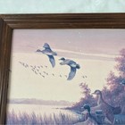 Charles E Murphy Framed Mallard Ducks Print  Vintage Duck Decor  14 5 X 14 5 