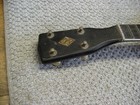 Vintage 1920s Le Domino Ukulele Banjo Rare One  Look