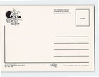 Cayman Islands Grand Cayman British Overseas Territory G-68660