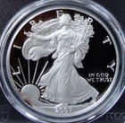 2007-w 1oz Silver American Eagle Dollar - Pcgs Pr 70 Dcam