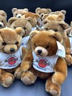 14 Hard Rock Cafe Teddy Bear 8 5    Plush W tee Shirt Stuffed Animal Collection