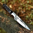 Handmade D2 Custom Sheep Horn Hunting Skinner Camping Sport Edc Knife W sheath
