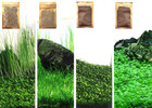 4 Pack Aquarium Plant Seeds  No Artificial Plastic Plant  Fish Tank Live Grass