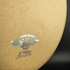 R-pro Rubber Wood Aviar - Air Force Stamp