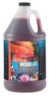 Microbe Lift Pl 1 Gal Koi Pond Clarifier 10plg4  Beneficial Bacteria   1 Gallon