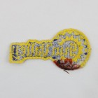 Vintage Sun Valley Idaho Ski Resort Embroidered Patch