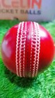 Professional Cricket Match Ball 156g Leather   90 Overs Guaranteed   6 Pack