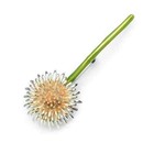 Dandelion Flower Charm Brooch Pins Women Bohemian Fashion Gift Pin Brooches 1pc
