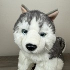Aurora World Realistic Sitting Siberian Husky 14  Plush Toy Dog Alaskan Malamute