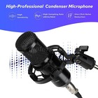 Complete Home Studio Recording Kit Mixer Condenser Microphone Fit Music Podcast