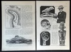 Great Serpent Mound 1927 Pictorial  secrets Of The Mounds  Seip Ohio
