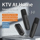 Karaoke Machine   karaoke Companion   karaoke Mixer System  Dual Handheld Wireles   
